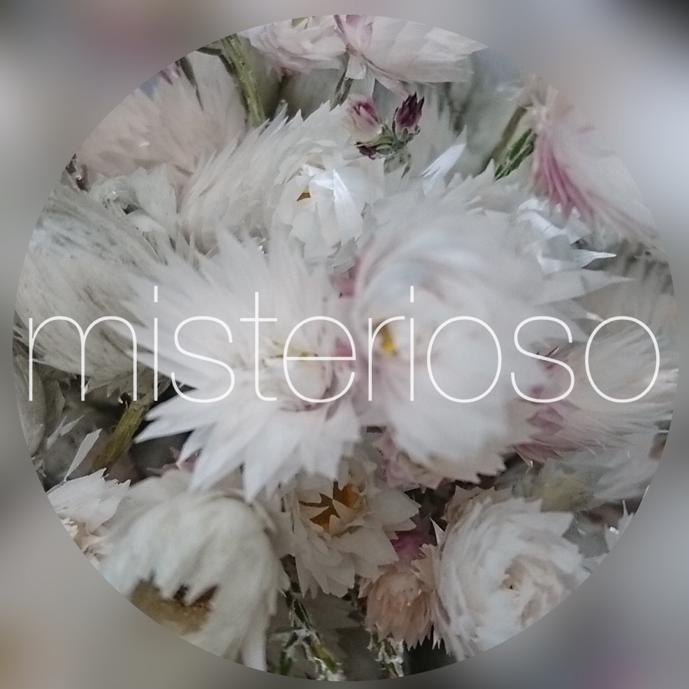 エバーラスティング Misterioso 花の品種検索