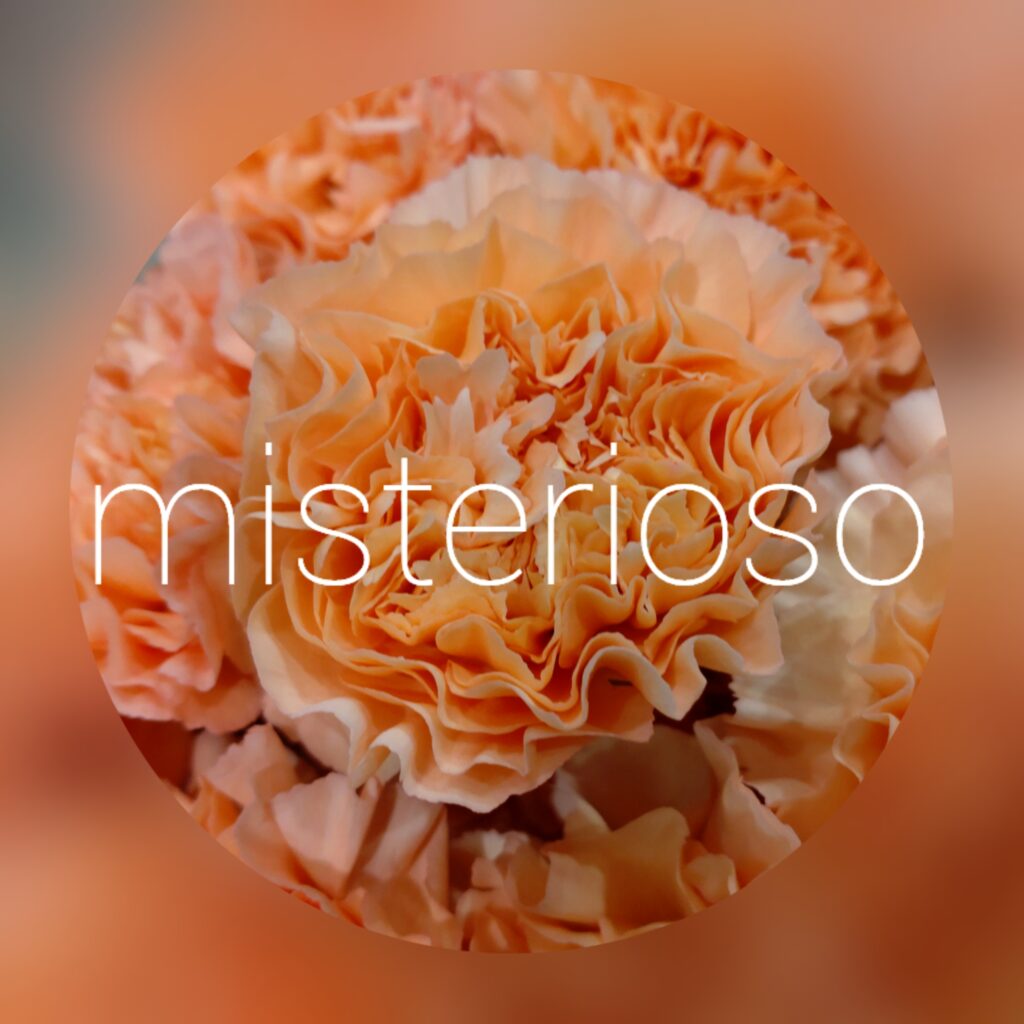 シャーベットオレンジの花かんむり （オレンジのシャーベット  